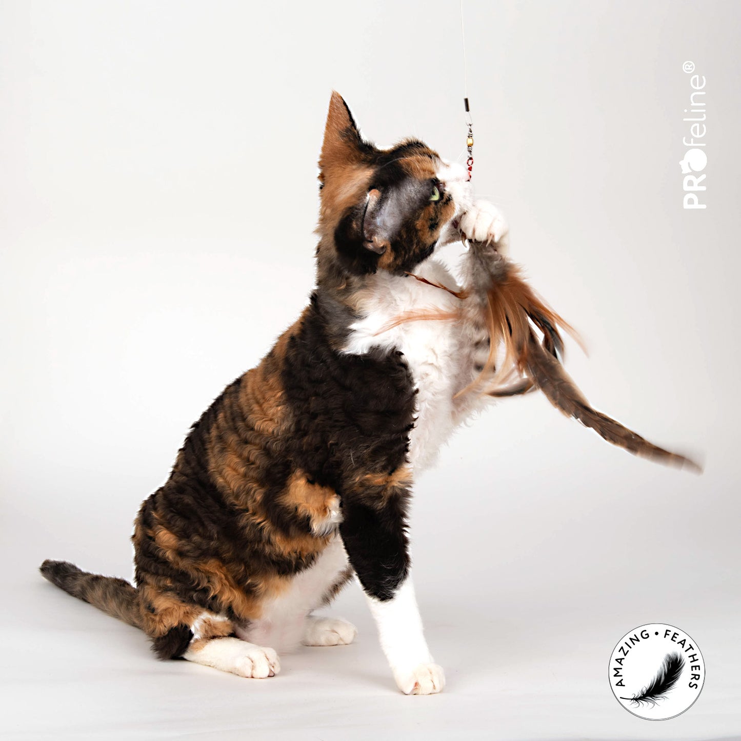 PROfeline-Wild Tiger Refill(长雉鸡羽毛虎纹逗猫棒配件)
