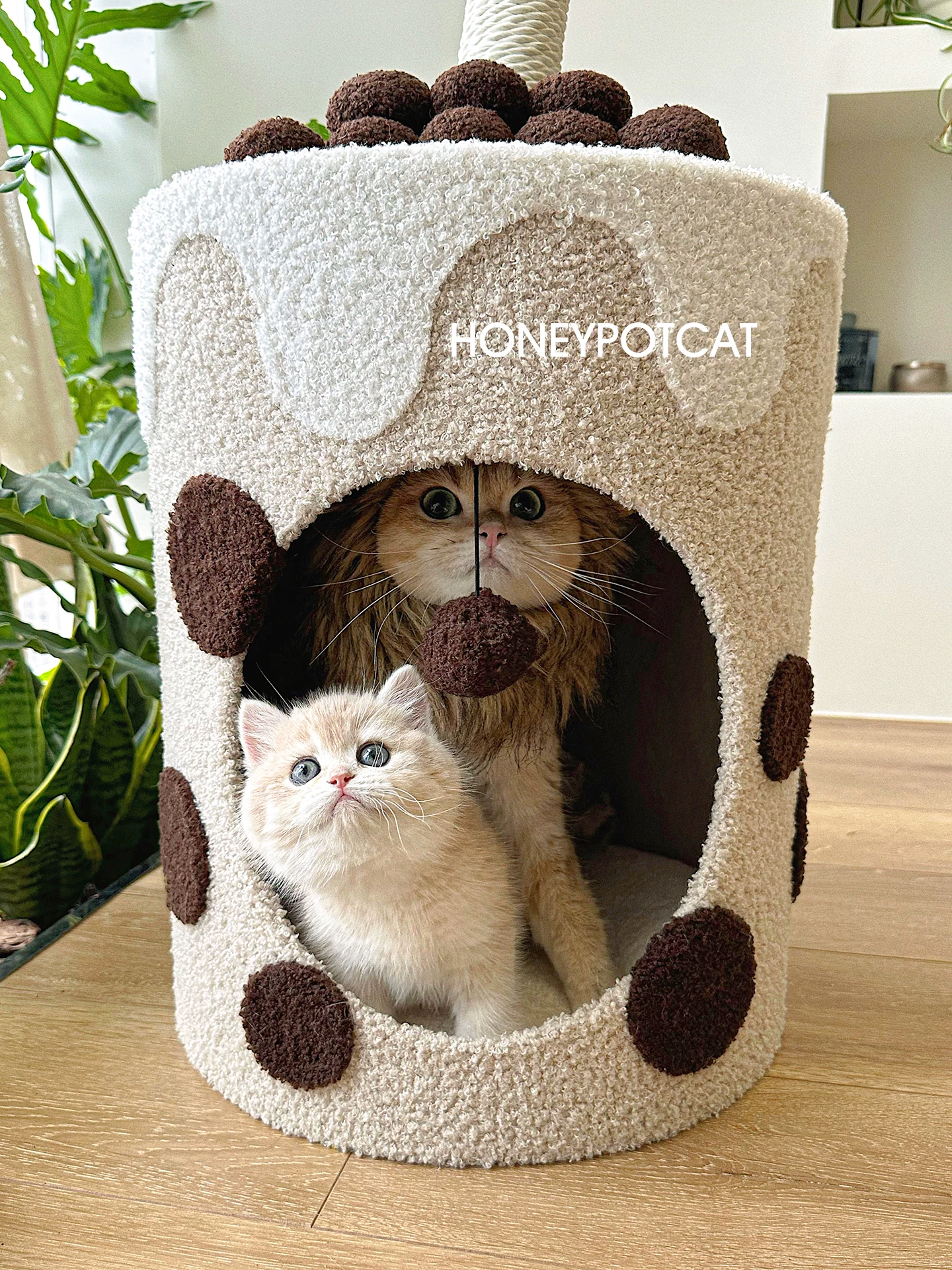 蜜罐猫瑞士卷猫窝