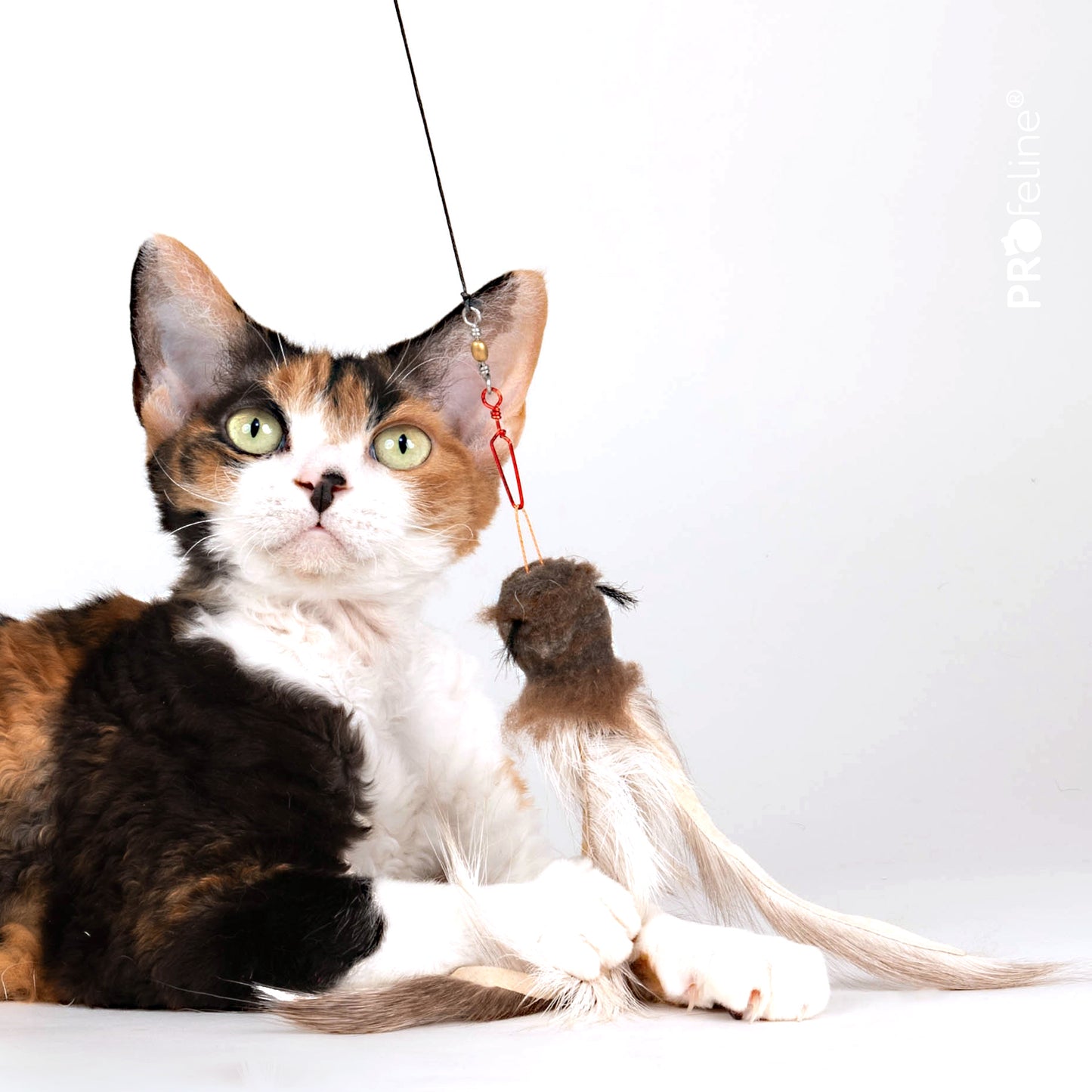 Fur Shaglet Refill（鹿毛逗猫棒替换装）