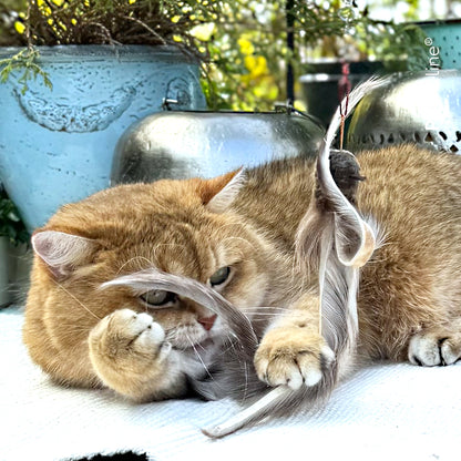 Fur Shaglet Refill（鹿毛逗猫棒替换装）