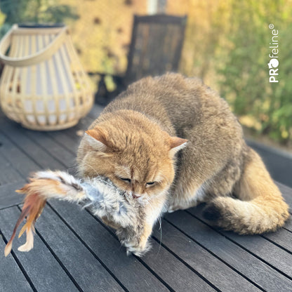 Wild Fur Buster 兔毛羽毛猫薄荷玩具