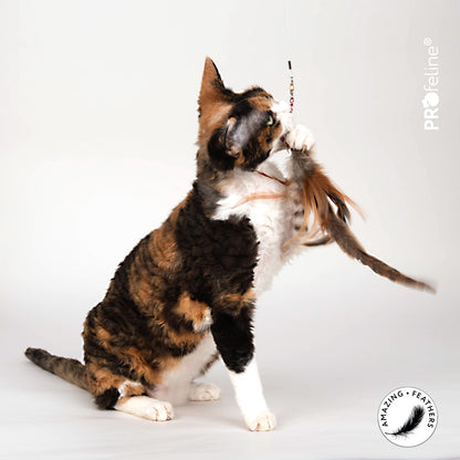 PROfeline-Wild Tiger Refill（长雉鸡羽毛虎纹逗猫棒配件）
