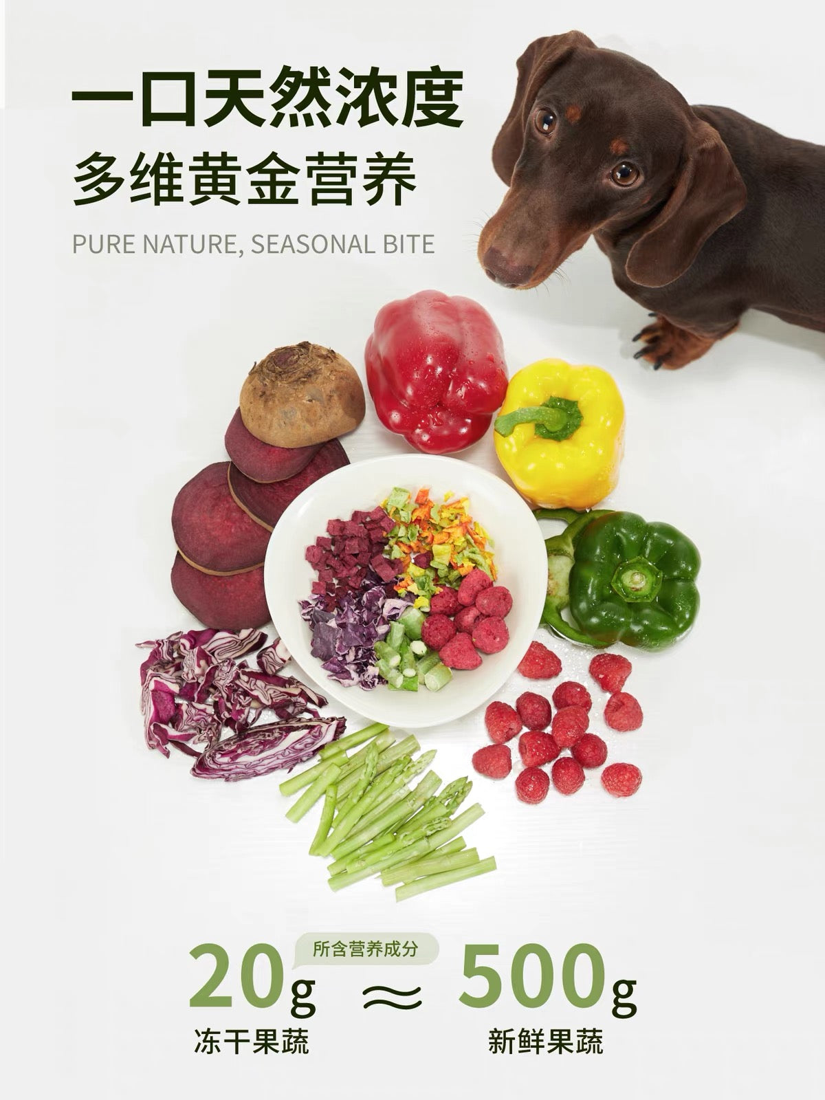 生生不息 蔬菜水果冻干